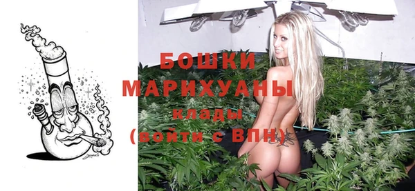 прущие грибы Протвино