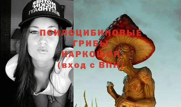шишки Баксан