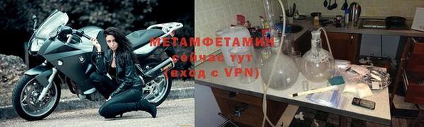 прущие грибы Протвино