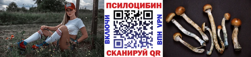 Псилоцибиновые грибы Magic Shrooms  Нижняя Тура 